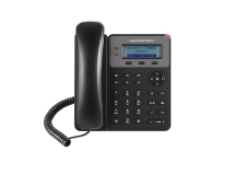 GXP1610/GXP1615潮流網(wǎng)絡(luò)2賬號雙百兆企業(yè)IP電話